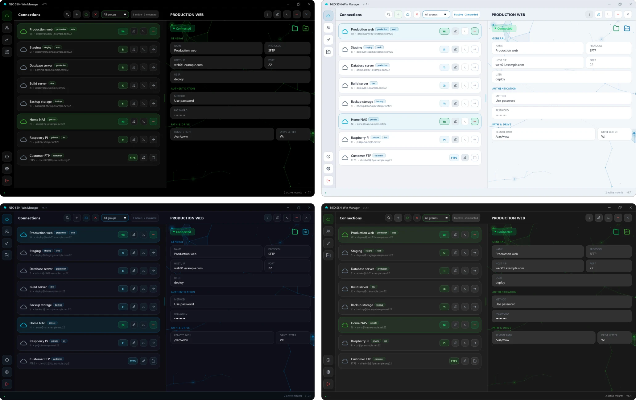 Main window with the connection list and a host's details in the themes Black, Light, Blue (classic) and Gray